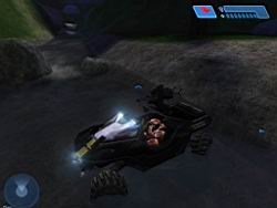 Halo PC Beta: RocketHog in Timberland